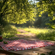 © 자인 김 - empty picnic area with checkerboard cloth (summer),