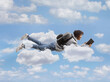 © Ljupco Smokovski - African american male student flying in the sky and reading