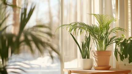 Poster - indoor plants thriving in natural light during winter in a cozy room with warm decor