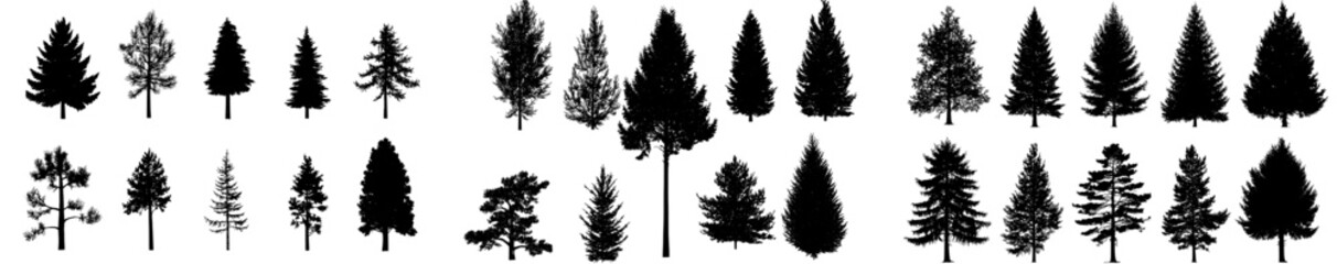 Poster - Vector illustration of various tree silhouettes for nature themes and designs