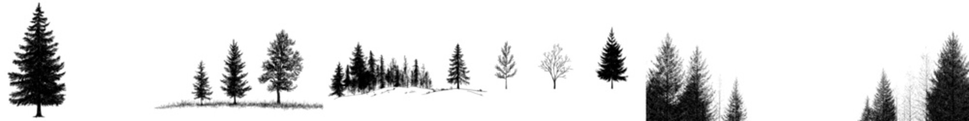 Poster - The pine fir trees found in a forest are depicted in a continuous line drawing