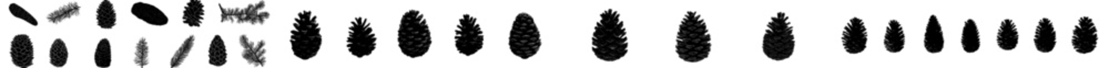 Poster - Modern pine cones silhouette logo designs are isolated on a white background with a set pinecone silhouette