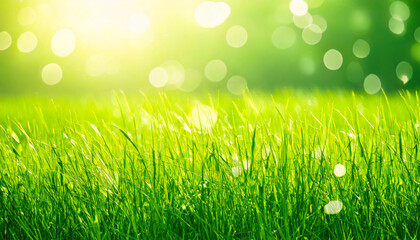 Aufkleber - Sunlight filtering through vibrant green grass during a beautiful day in a serene outdoor park