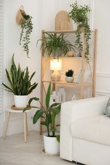 Poster - Shelving unit with houseplants and different home decor indoors