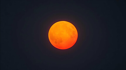 Wall Mural - Large Orange Full Moon in Dark Night Sky