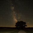 © Pic - Lone tree silhouetted against the Milky Way at night, rural road, dark sky, stars, nature photography, ideal for travel brochures