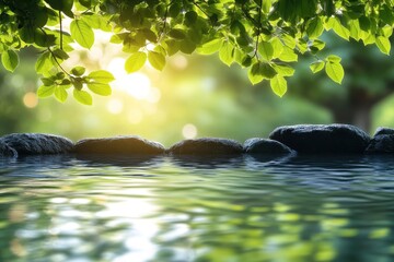 Poster - Tranquil water reflection enhances serene garden atmosphere with lush foliage and sunlight casting gentle glows in the background