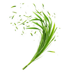 Lush green grass blades exploding in motion vibrant nature burst