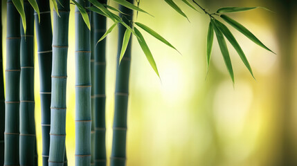 Poster - close up view of green bamboo stalks with vibrant leaves, creating serene and calming atmosphere in natural setting. soft background enhances beauty of bamboo