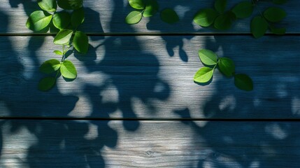 Poster - Playful shadow pattern of leaves on wooden surface illuminated by sunlight.
