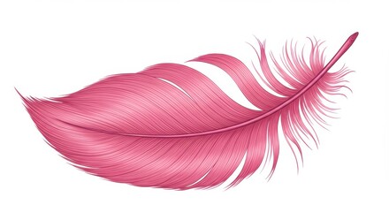 Poster - A single pink feather with detailed barbs and rachis isolated on a white background illustration
