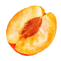 Poster - Watercolor Illustration of a Peach Half, Showing the Juicy Interior Detail