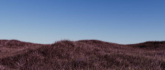 Wall Mural - A field of purple grass with a blue sky in the background