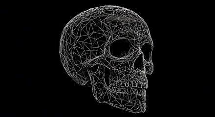 Poster - Skull outline with geometric fractures as thin lines, edgy yet clean, negative space highlights