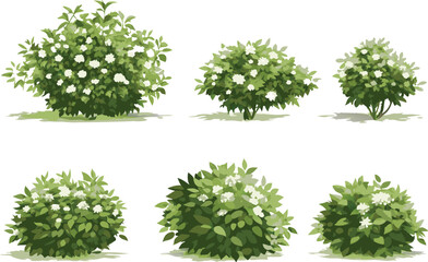 watercolor illustration of diverse trees, shrubs, and bushes with green foliage in a hand-painted bo