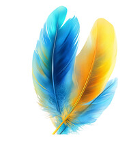 Poster - Teal and Golden Yellow Feathers on Transparent Background, PNG