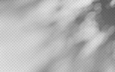 Wall Mural - abstract shadow overlay from foliage on a transparent background.