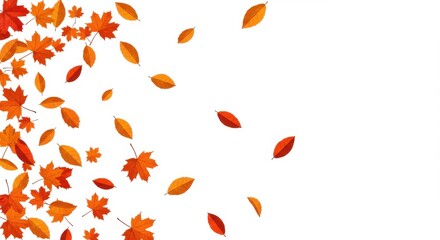 Poster - Autumn leaves falling on a white background with orange and red foliage scattered across the image