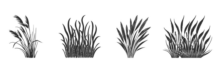 Wall Mural - grass and reed silhouettes set. natural elements for design and decoration isolated vector illustrat