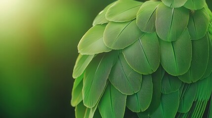 Poster - Close-Up of Vibrant Green Feather Texture in Natural Setting