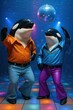 © Izanbar MagicAI Art - Orca killer whale dressed in funky clothes dancing a funky whale song, in an underwater disco whale club