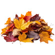© PerfectPNGs - Colorful fallen autumn leaves scattered in pile, isolated on transparent background