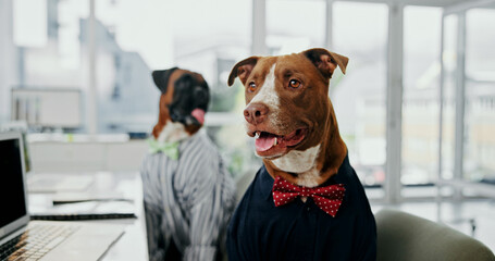 Aufkleber - Office, laptop and reading with business dog with bowtie for administration, online report or research. Computer, humor or comic with pitbull employee in professional workplace for project management