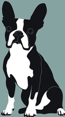 Poster - Minimalist Boston Terrier Silhouette Vector in Flat SVG Style for Design Projects