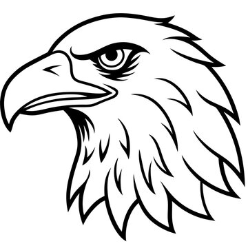 Eagle head line art vector illustration and white background