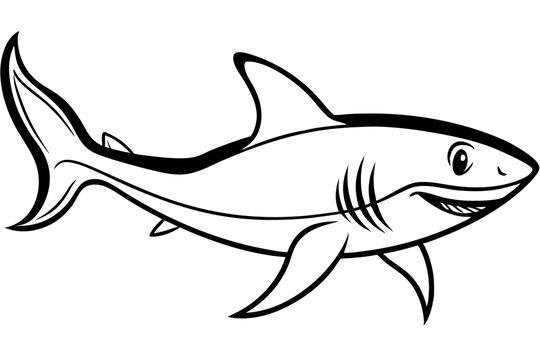 Shark line art vector illustration and white background