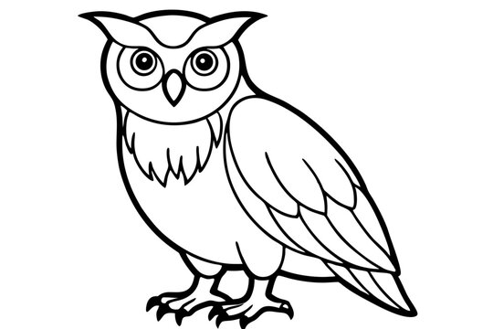 Owl line art vector illustration and white background