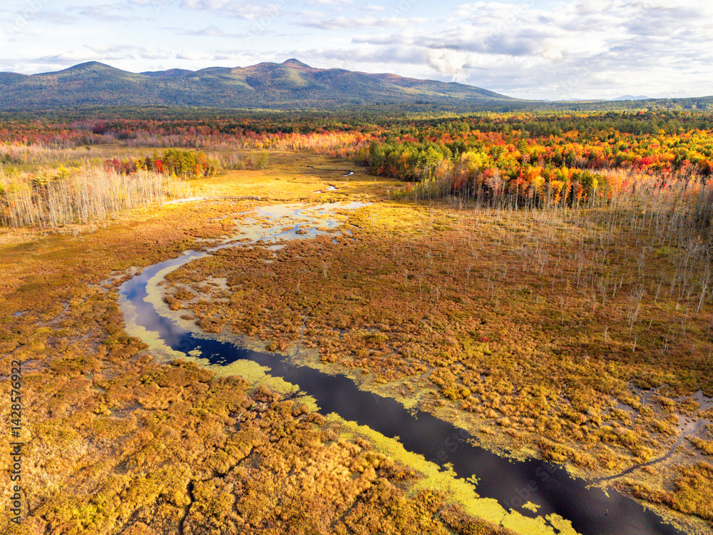 Aerial view of a beaver pond and lodge in New Hampshire with vibrant ...