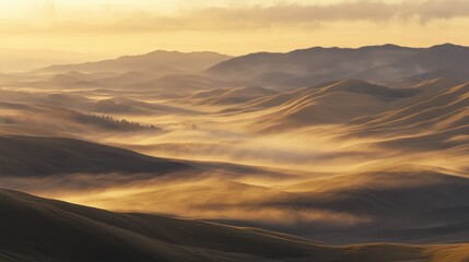Wall Mural - a vast aerial panorama of a fog-covered valley at sunrise, with golden light breaking through the mi