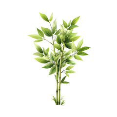 Poster - closeup view of a thriving plant with abundant green leaves and a slender stem conveying a sense of 
