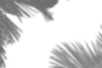 Fototapete - Realistic overlay of blurred plant foliage and branch shadows creates dynamic design element for spring or summer product display mockups. Perfect for creative projects