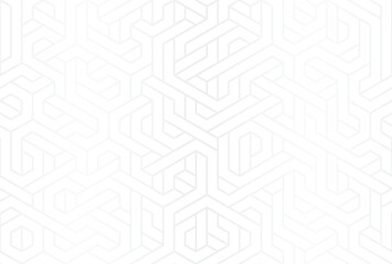 Poster - Light  Shadow Labyrinth Interwoven Geometric Pattern