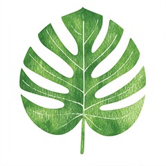Poster - Watercolor painting of a single, large green leaf. The leaf is depicted in a detailed, textured style, with visible brushstrokes giving it a slightly rough appearance. The leaf is centrally