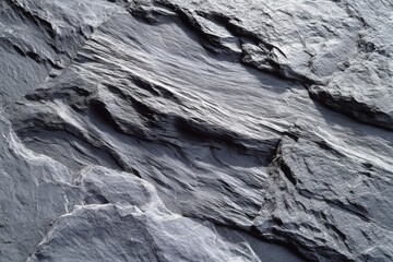 Poster - Close-up abstract of layered slate stone with fine texture and unique patterns, perfect for backgrounds and natural designs, with a cool gray tonality.