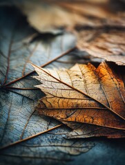 Aufkleber - Detailed Close-Up of a Dry Autumn Leaf Showcasing Intricate Edges and Cracks Against a Textured Background