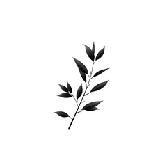 Poster - A simple minimalist image of a plant branch with elegant delicate leaves in a striking monochrome palette against a clean white background