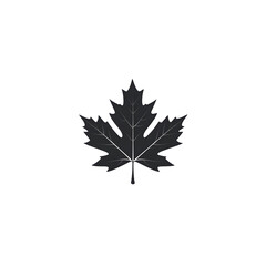 Poster - a simple elegant silhouette of a maple leaf against a light background creating a bold iconic and mi