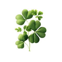 Poster - An arrangement of vibrant green clover leaves displayed in a visually striking symmetrical pattern showcasing the natural beauty and organic elegance of this iconic plant