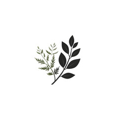 Poster - elegant black and white silhouette of a botanical plant with delicate leaves and branches on a clean