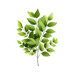 Poster - Close up of a lush fresh green plant with delicate leaves growing on a natural branch against a clean white background