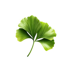 Aufkleber - Close up of a lush verdant leaf with intricate veins and a striking silhouette set against a minimalist white backdrop for a clean serene visual appeal