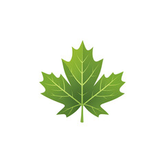 Poster - A vibrant green maple leaf stands out against a clean white background showcasing the natural beauty and elegant simplicity of this iconic botanical element