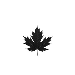Poster - Elegant and serene black silhouette of a maple leaf against a clean white background showcasing the natural beauty and organic shape of this iconic autumn foliage