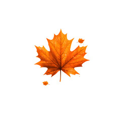 Poster - A beautifully vibrant orange maple leaf against a crisp white backdrop showcasing the intricate details and natural patterns of this seasonal foliage