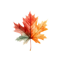 Poster - A close up of a beautifully colored maple leaf in shades of red orange and yellow showcasing the natural patterns and textures of the autumn foliage