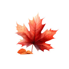 Poster - Close up of a vibrant red and orange maple leaf showcasing the intricate details and natural beauty of the changing seasons